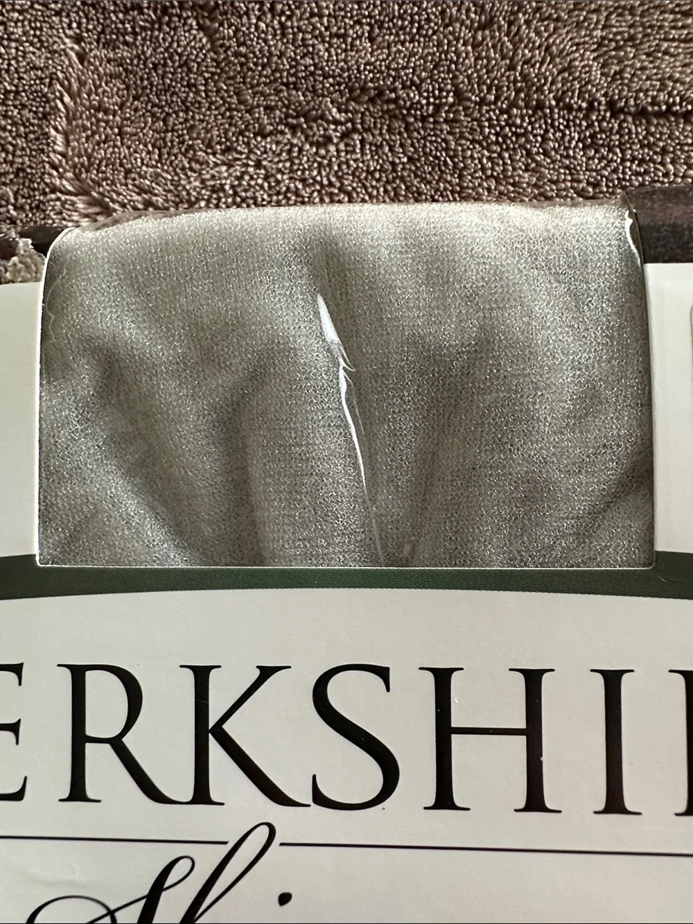 Berkshire Shimmers Control Top Sheer Toe Hosiery Size 2 Plus Platinum